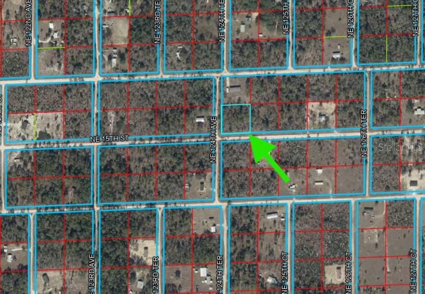 Lot 6 NE 124 STREET, WILLISTON, FL — photo 3 of 6