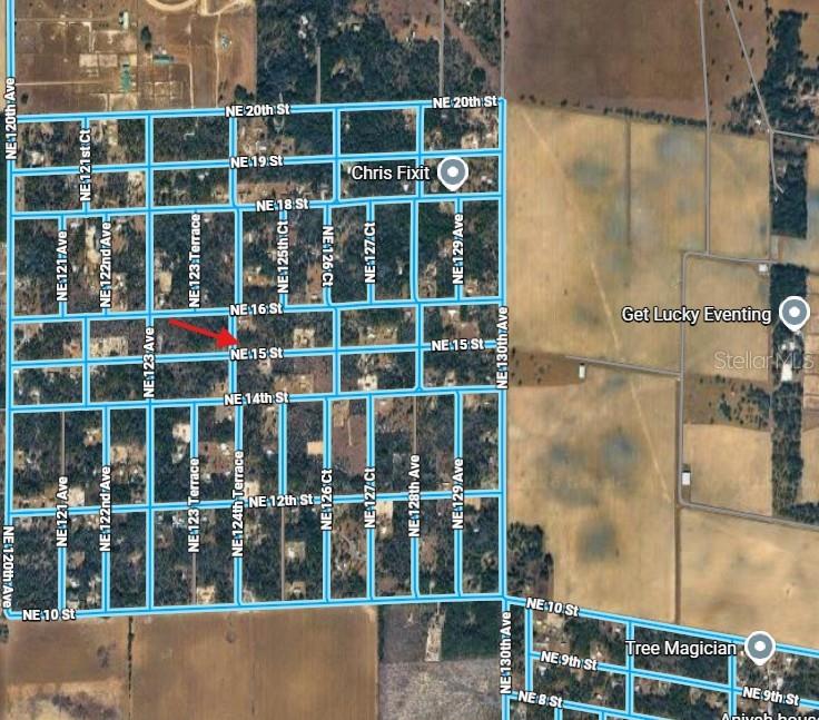 Lot 6 NE 124 STREET, WILLISTON, FL — photo 4 of 6