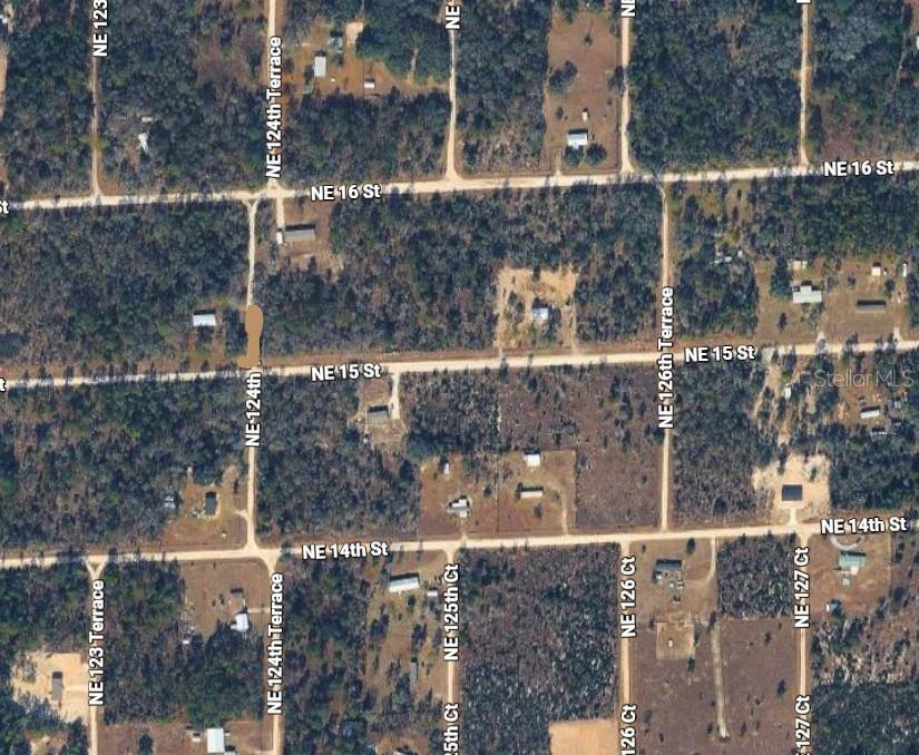 Lot 6 NE 124 STREET, WILLISTON, FL — photo 5 of 6