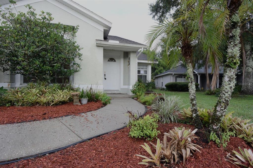 The exterior of a light-colored house features a curved concrete walkway and landscaped garden beds — 24449 PAINTER DRIVE, LAND O LAKES, FL