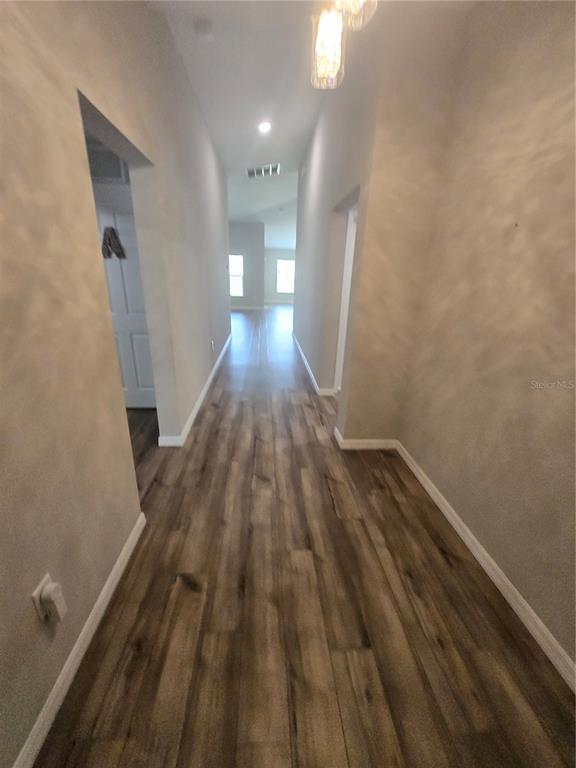 A hallway with wood-look flooring leads toward an open living area with windows — 12730 MANGROVE FOREST DRIVE, RIVERVIEW, FL