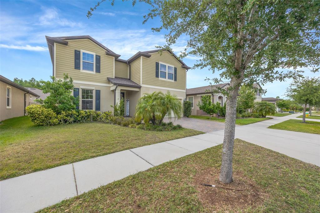 A two-story house with light green siding, dark shutters, and a paved driveway — 18928 WILLOWMORE CEDAR DRIVE, LUTZ, FL