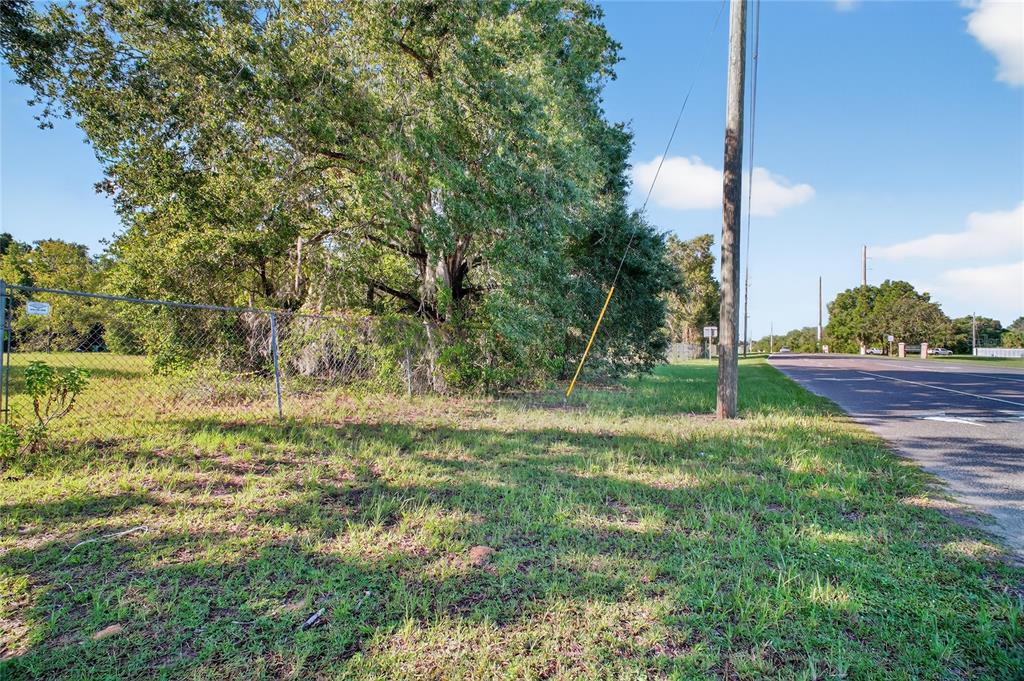 A chain-link fence borders a grassy lot with large trees next to a paved road — 42012 STATE ROAD 19, ALTOONA, FL