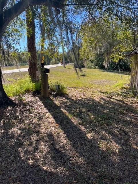 A grassy, tree-shaded lot features a utility pole and a view of a distant road — 8841 S MOBLEY ROAD, ODESSA, FL