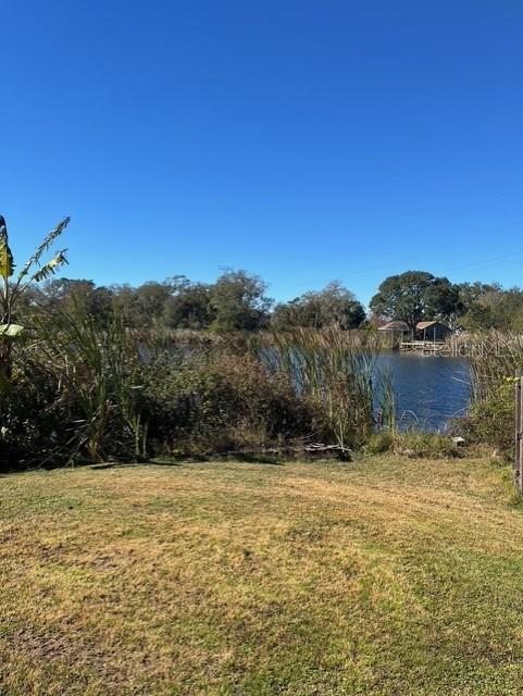 A grassy yard overlooks a lake with tall reeds and a small wooden dock — 8841 S MOBLEY ROAD, ODESSA, FL