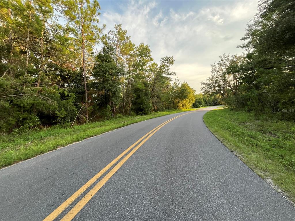 A two-lane asphalt road curves through a wooded area under a cloudy sky — TBD TWIN LAKES ROAD, INTERLACHEN, FL