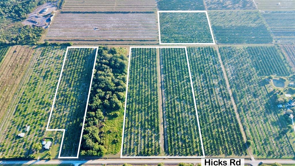 An aerial view shows several rectangular plots of agricultural land bordered by trees and roads — 2205 HICKS ROAD, LORIDA, FL