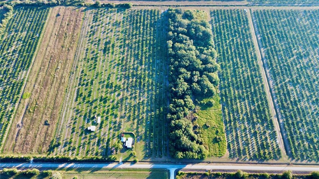 An aerial view shows a large agricultural property with rows of crops and a wooded area — 2205 HICKS ROAD, LORIDA, FL