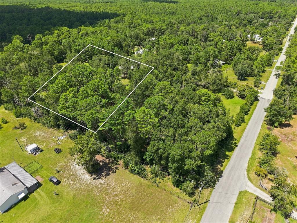 An aerial view shows a wooded lot outlined in white next to a paved road — 25905 SITTING BULL STREET, BROOKSVILLE, FL