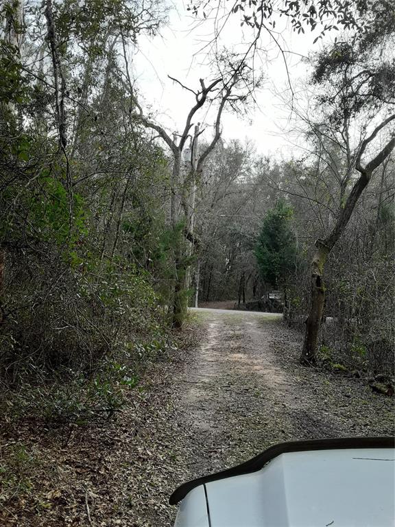 A dirt driveway leads through a wooded area toward a paved road — 25905 SITTING BULL STREET, BROOKSVILLE, FL