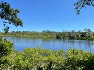 An aerial view shows a lakefront property with a house, a dock, and dense trees — VISTA STREET, LAKE HELEN, FL