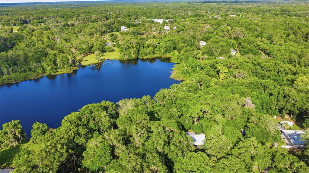 A view of a calm lake surrounded by trees under a blue sky with clouds — VISTA STREET, LAKE HELEN, FL