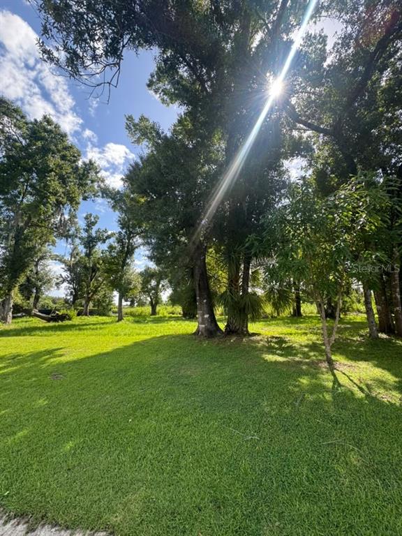 1163 SW MELODY DRIVE, ARCADIA, FL — photo 2 of 5