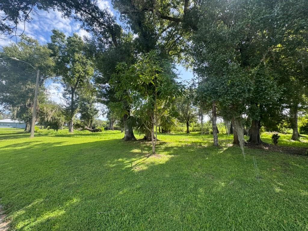 1163 SW MELODY DRIVE, ARCADIA, FL — photo 3 of 5