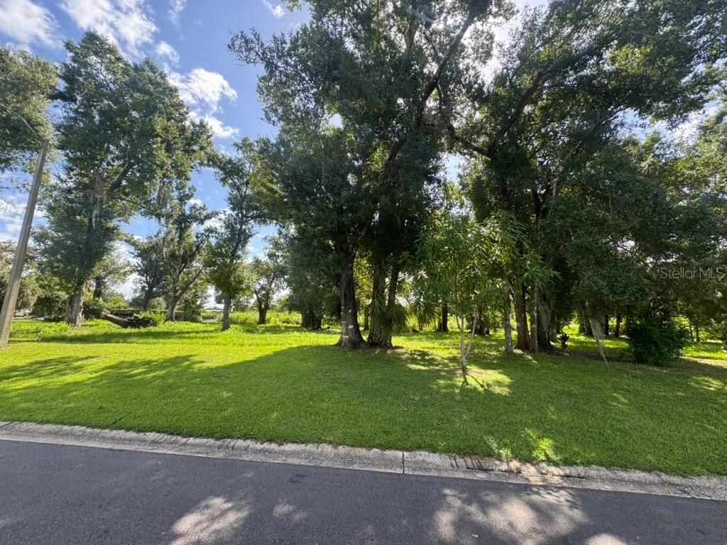 1163 SW MELODY DRIVE, ARCADIA, FL — photo 4 of 5