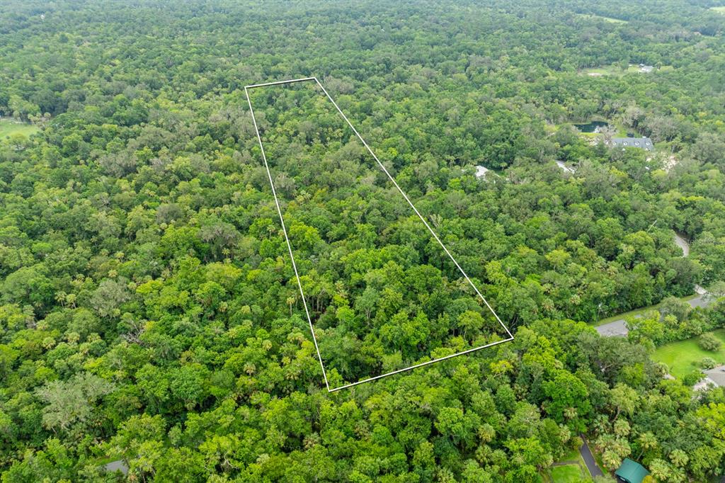 An aerial view shows a rectangular plot of land outlined in white within a forest — STONE STREET, OVIEDO, FL