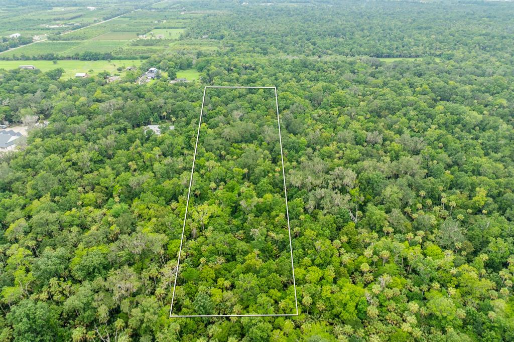 An aerial view shows a rectangular plot of land outlined in white amidst dense forest — STONE STREET, OVIEDO, FL