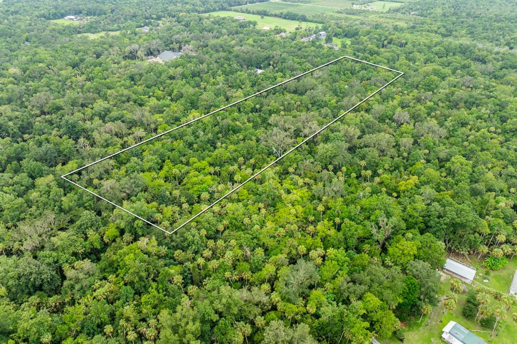 An aerial view shows a rectangular plot of land outlined in white within a forest — STONE STREET, OVIEDO, FL