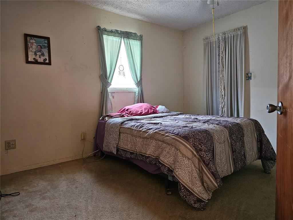 A bedroom features a bed with a patterned comforter, two windows with curtains, and carpet — 320 COUNTY ROAD 619, LAKE PLACID, FL