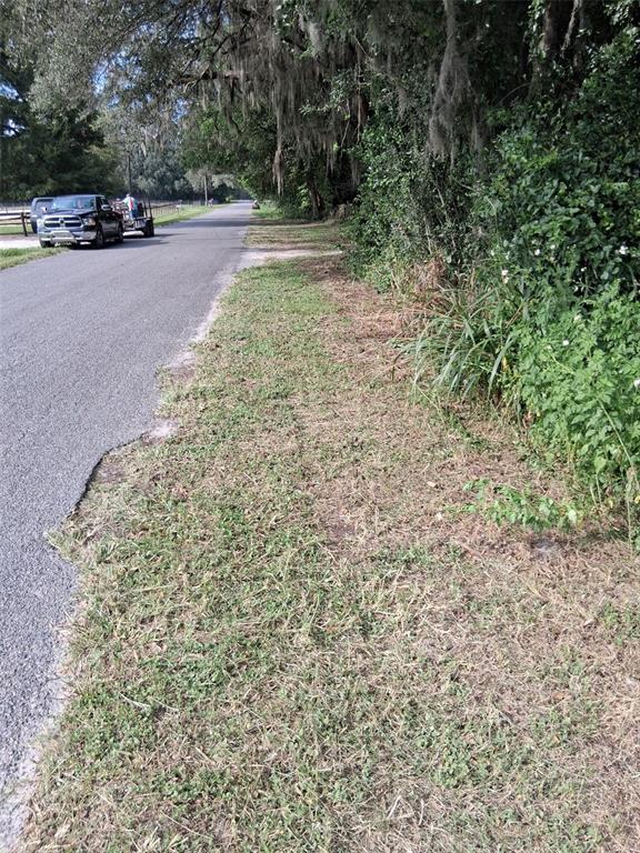 A paved road runs alongside a grassy shoulder bordered by trees and dense vegetation — 18255 NW 60TH AVENUE, REDDICK, FL