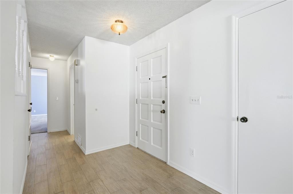 An entryway with light wood-look flooring, white walls, a white front door, and two ceiling lights — 2721 CECILE STREET, KISSIMMEE, FL