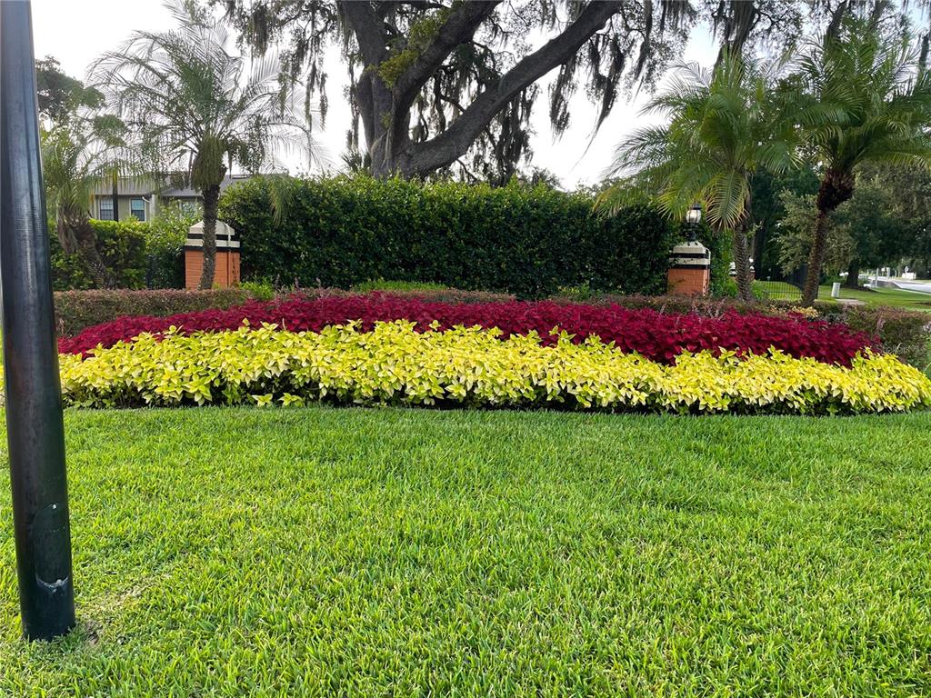 A landscaped garden bed features rows of yellow and red coleus plants before a hedge — 7327 FOREST HILL COURT UNIT 223, WINTER PARK, FL