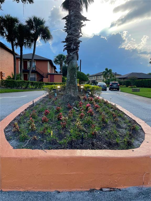 A palm tree stands in a landscaped garden bed surrounded by a low orange wall — 7327 FOREST HILL COURT UNIT 223, WINTER PARK, FL