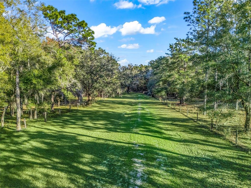 A grassy path stretches between rows of trees and wire fencing under a blue sky — 0 SE 165TH AVENUE, WILLISTON, FL