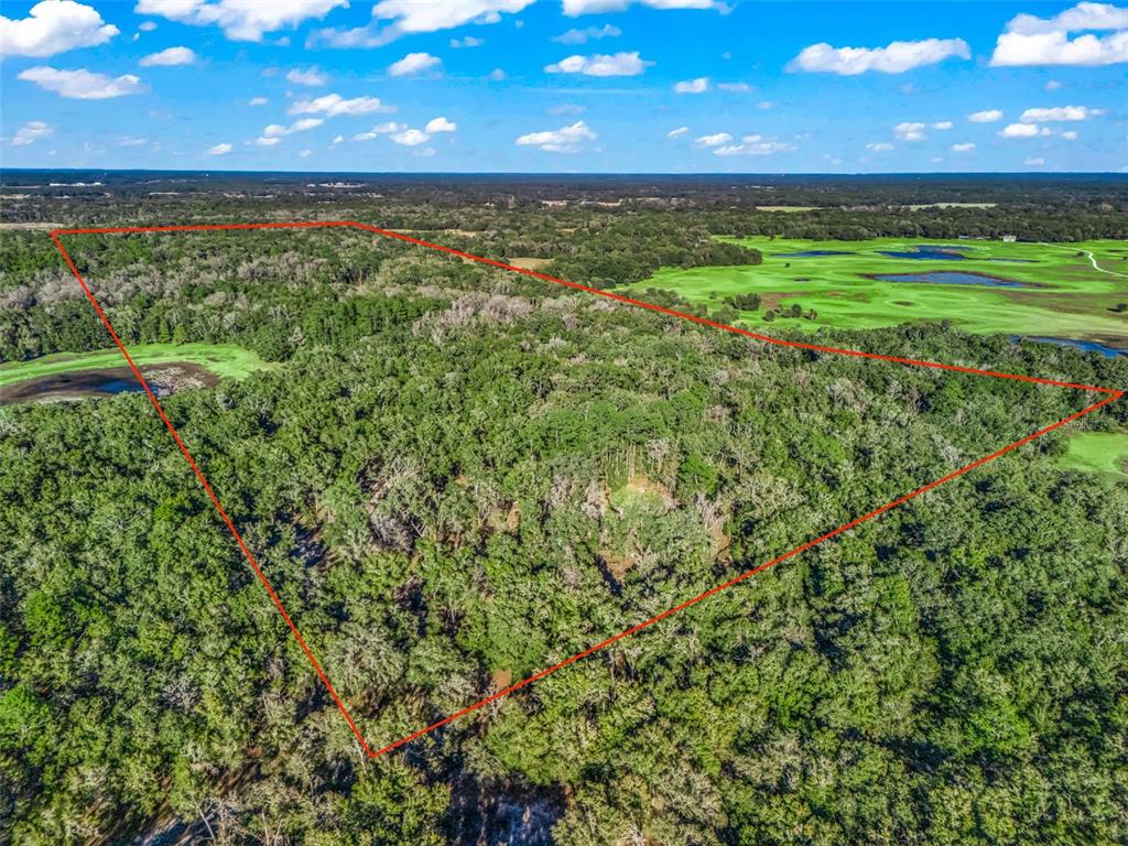 An aerial view shows a large, wooded plot of land outlined in red — 0 SE 165TH AVENUE, WILLISTON, FL