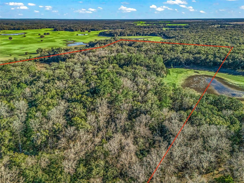 An aerial view shows a wooded lot outlined in red next to a golf course — 0 SE 165TH AVENUE, WILLISTON, FL