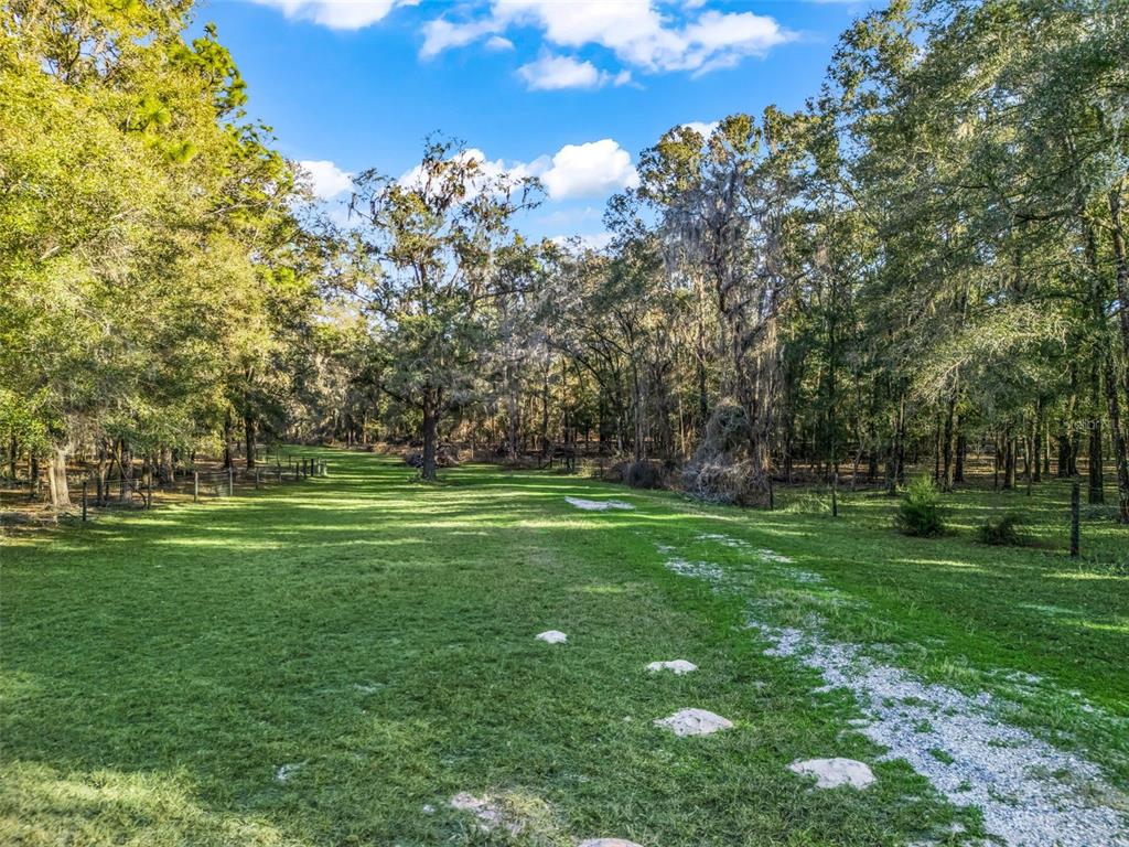 A grassy field with scattered rocks and a gravel path surrounded by dense trees — 0 SE 165TH AVENUE, WILLISTON, FL