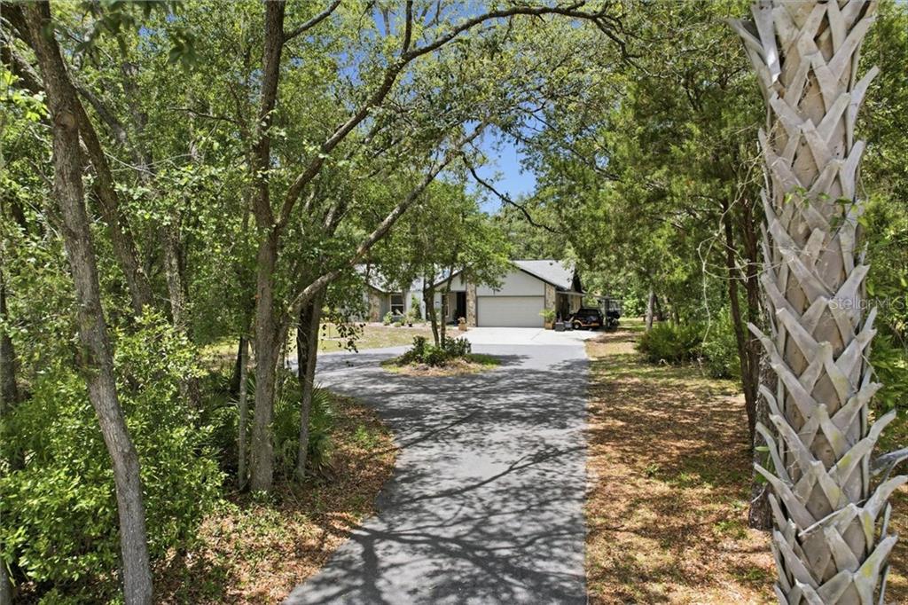 834 N Dunkenfield AVENUE, CRYSTAL RIVER, FL — photo 3 of 30