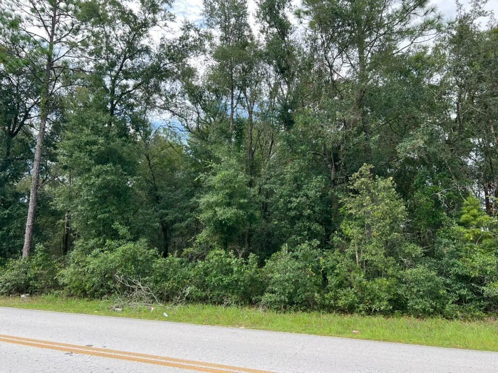 0 SE 132ND PL OCKLAWAHA