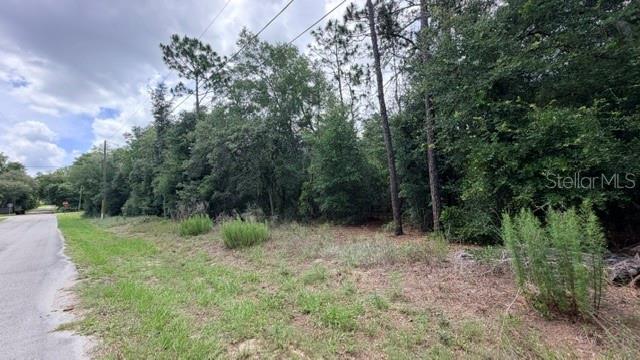 A paved road runs alongside a wooded, undeveloped lot with tall trees and grassy ground — 3223 E SCOFIELD ST, INVERNESS, FL