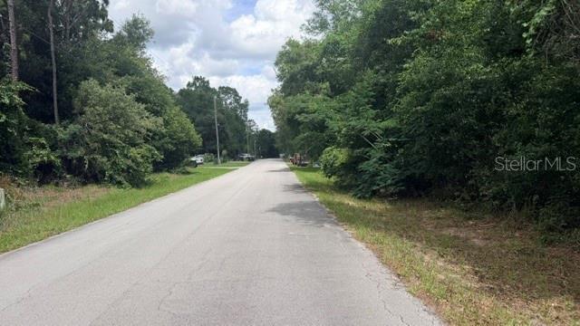 A paved road runs between dense trees and grassy shoulders under a cloudy sky — 3223 E SCOFIELD ST, INVERNESS, FL