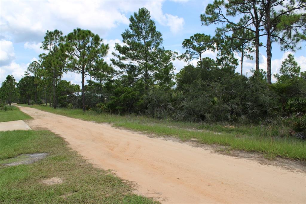 A dirt road leads past a grassy area toward a wooded lot with pine trees — 1830 OLEASTER AVENUE, SEBRING, FL