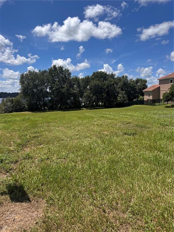 A grassy, vacant lot features a line of trees and a house in the background — 10642 CRESCENT LAKE COURT, CLERMONT, FL