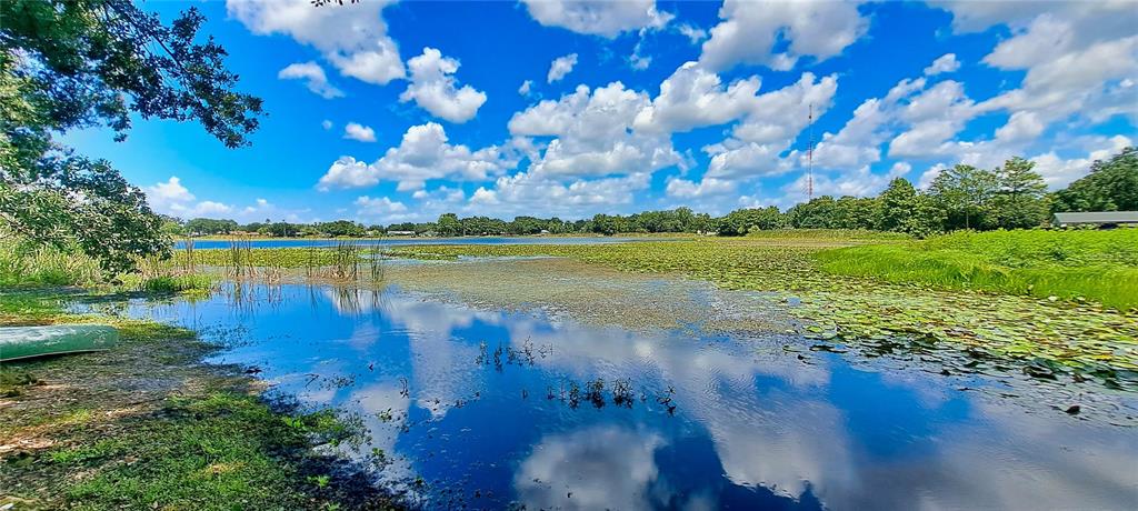 A scenic view of a lake with lily pads, grassy banks, and a bright blue sky — 3017 BAY LAKE ROAD, ORLANDO, FL