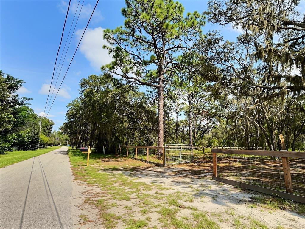 A paved road runs alongside a fenced, wooded lot with a metal gate and tall trees — 13354 TYRONE STREET, HUDSON, FL