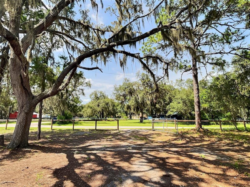 A large, moss-draped tree stands in the foreground of a grassy lot with a fence — 13354 TYRONE STREET, HUDSON, FL