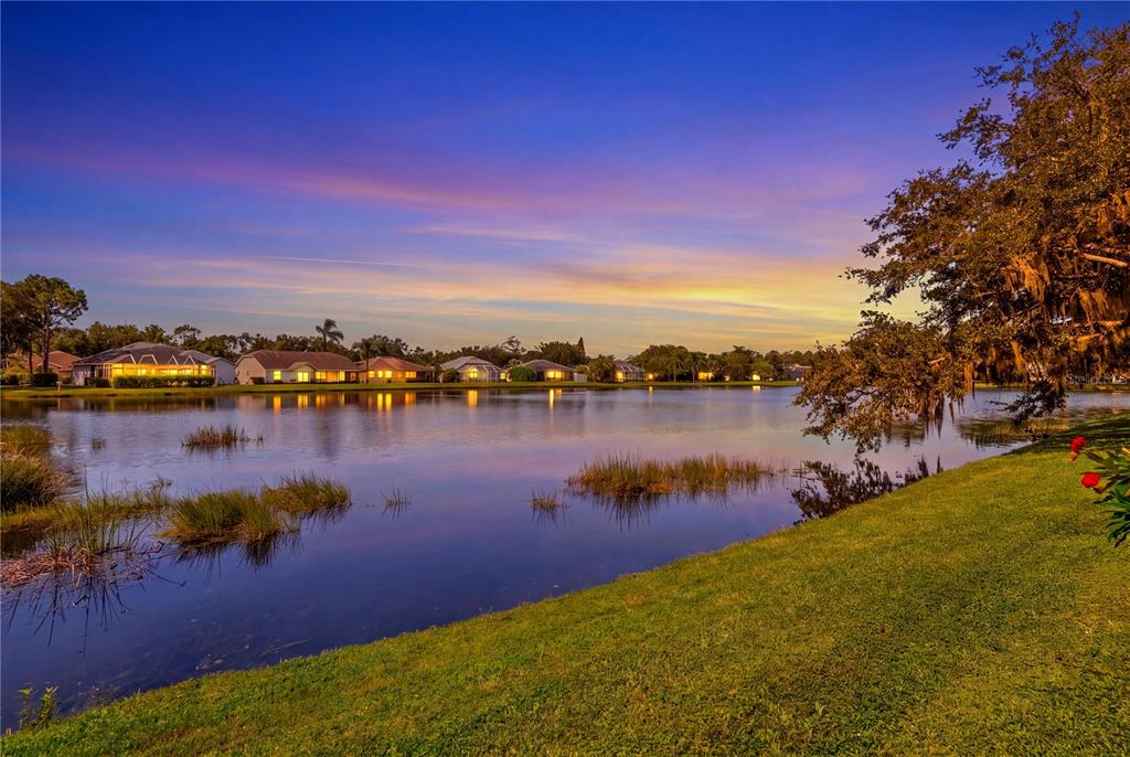 A lake view at sunset with houses in the background and a grassy foreground — 11326 BLUE SAGE PLACE, LAKEWOOD RANCH, FL