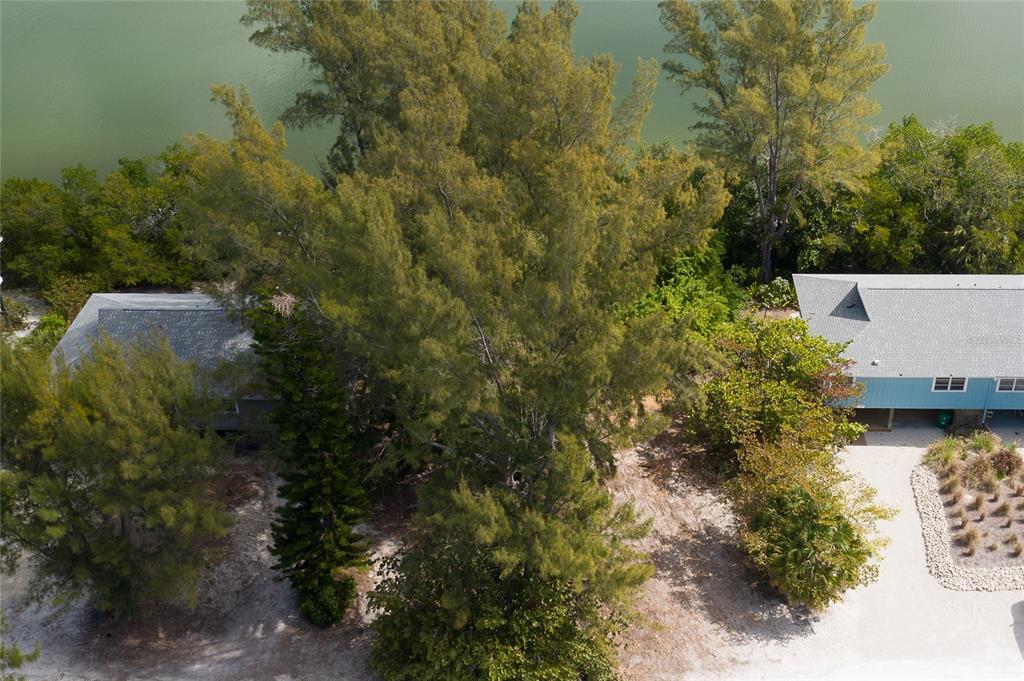 An aerial view shows two houses nestled among trees near a body of water — 322 S GULF BOULEVARD, PLACIDA, FL