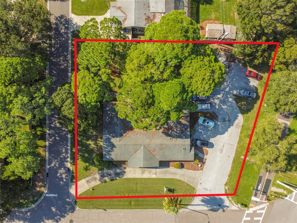 An aerial view shows a house with a large tree and parking lot — 605 PALM BOULEVARD, DUNEDIN, FL