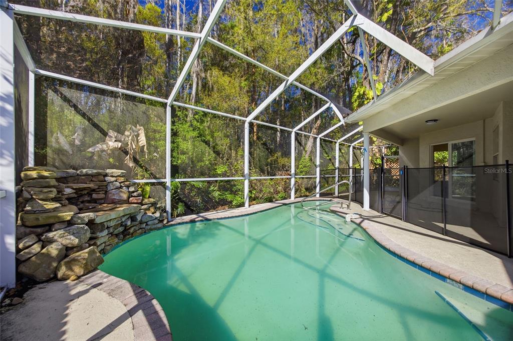 A concrete walkway leads to the front entrance of a house with a brown door — 812 CRESTRIDGE DRIVE, TARPON SPRINGS, FL