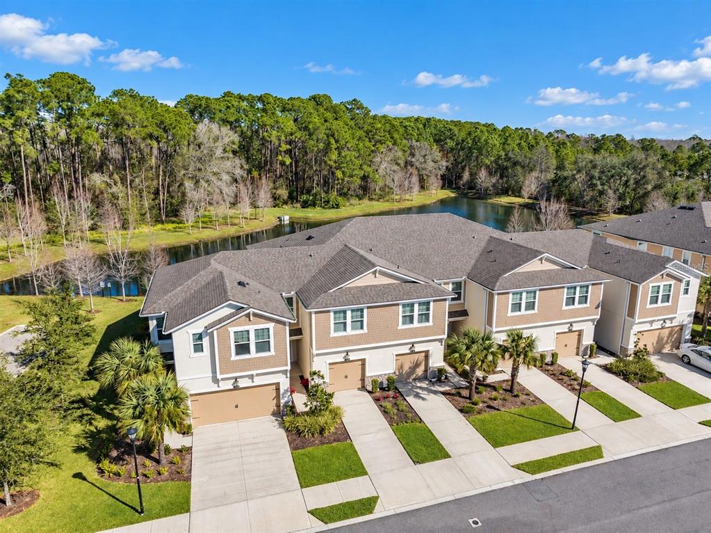 5527 CUMBERLAND STAR COURT, LUTZ, FL — photo 2 of 16