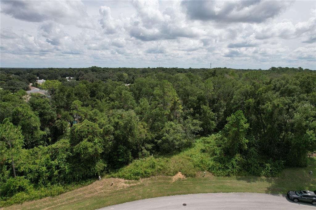 An aerial view shows a vacant, wooded lot bordering a paved residential cul-de-sac — 2856 E CHARTWELL CIRCLE, HERNANDO, FL