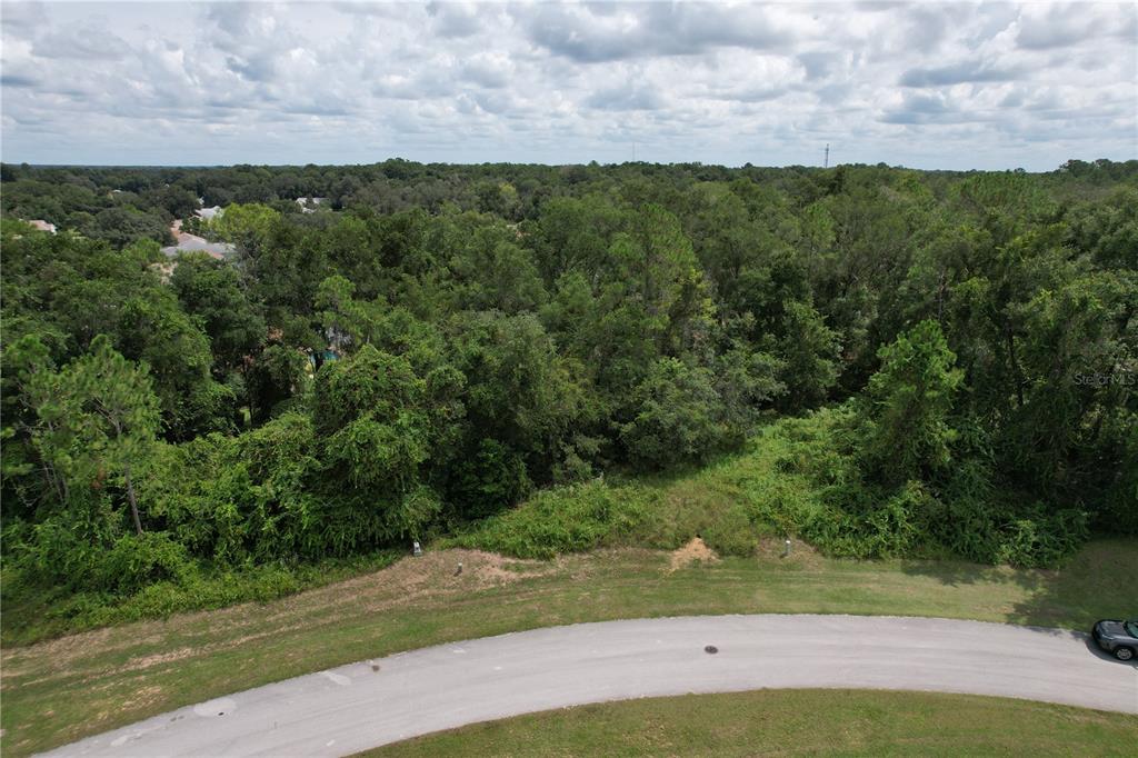 An aerial view shows a curved road bordering a wooded, undeveloped residential lot — 2856 E CHARTWELL CIRCLE, HERNANDO, FL