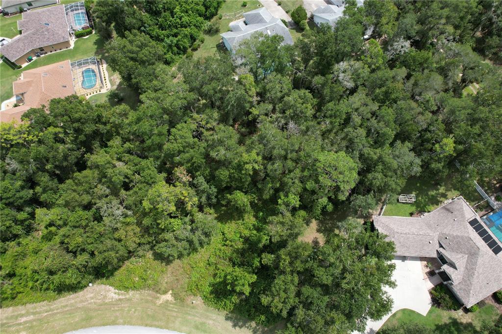 An aerial view shows a heavily wooded vacant lot surrounded by residential houses and pools — 2856 E CHARTWELL CIRCLE, HERNANDO, FL