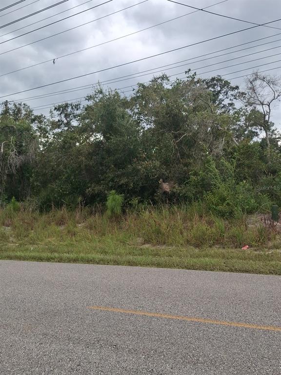 A view of a vacant, wooded lot bordered by a paved road and power lines — SIXMA ROAD, DELTONA, FL