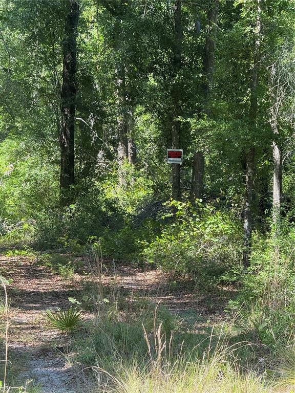 A wooded lot with a posted sign attached to a tree in the center — 208TH TERRACE, O'BRIEN, FL